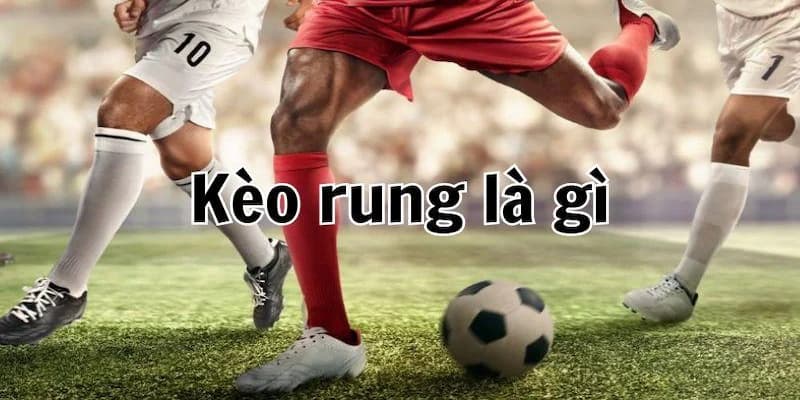 Kèo Rung 7M: Kinh Nghiệm Chơi Cực Hay Dành Cho Hội Viên 2 Tổng hợp một số kèo đỉnh cao dành cho người chơi